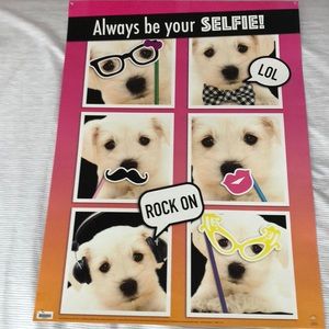 3 beautiful posters.